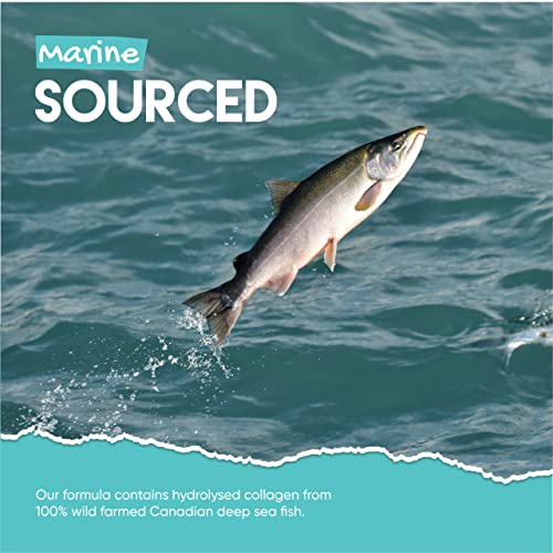 Marine Collagen Gummies by Jolly Jelly® - Wild-Caught Marine Collagen Tapioca Gummies - Type 1 Hydrolysed Collagen - Strawberry Flavour - 60 Gummies. JOLLY JELLYBuy Supplements Australia