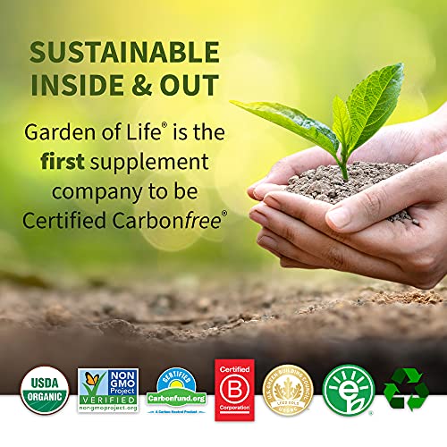 Garden of Life Perfect Food Super Green Formula - 14 Servings | 45 Superfoods, Greens Garden of LifeBuy Supplements Australia