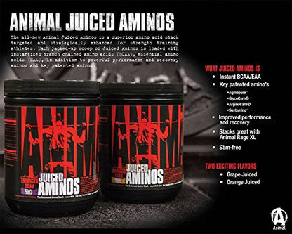 Animal Creatine Chews Tablets - Enhanced Creatine Monohydrate with AstraGin to Improve AnimalBuy Supplements Australia