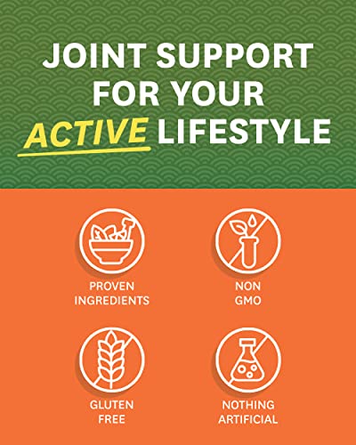 Zenwise Health Glucosamine Chondroitin MSM - Joint Support Supplement with Turmeric Zenwise HealthBuy Supplements Australia