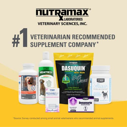 Nutramax Laboratories Dasuquin with MSM Joint Health Supplement for Large Dogs Nutramax LaboratoriesBuy Supplements Australia