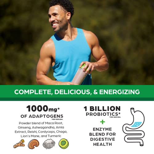 Orgain Organic Perfect Meal Replacement Protein Powder, Chocolate - 25g Plant Based OrgainBuy Supplements Australia