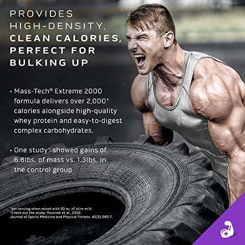 MuscleTech Mass Gainer Protein Powder, Mass-Tech Extreme 2000, Muscle Builder MuscleTechBuy Supplements Australia