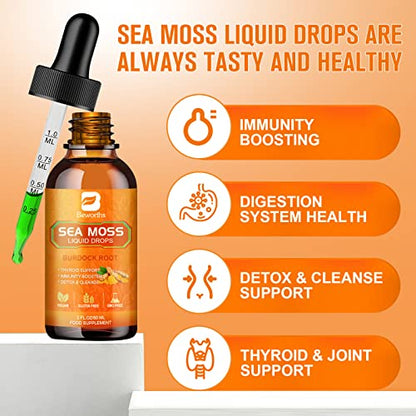 B BEWORTHS Sea Moss Liquid Drops - Organic Irish Sea Moss Raw Gel with Burdock Root B BEWORTHSBuy Supplements Australia