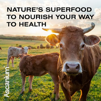 Colostrum Powder - Grass-Fed 40% IgG Colostrum Supplement Powder - Bovine AscaniumBuy Supplements Australia