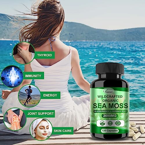 Fleamart 2 Pack Irish Sea Moss Capsules 120ct Raw Organic Sea Moss Wildcrafted Bladder FleamartBuy Supplements Australia