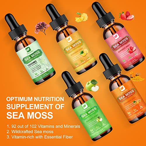 B BEWORTHS Sea Moss Liquid Drops - Organic Irish Sea Moss Raw Gel with Burdock Root B BEWORTHSBuy Supplements Australia