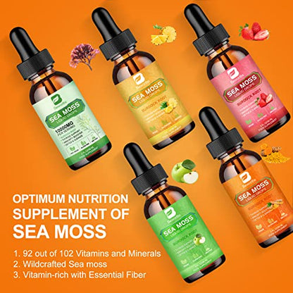 B BEWORTHS Sea Moss Liquid Drops - Organic Irish Sea Moss Raw Gel with Burdock Root B BEWORTHSBuy Supplements Australia