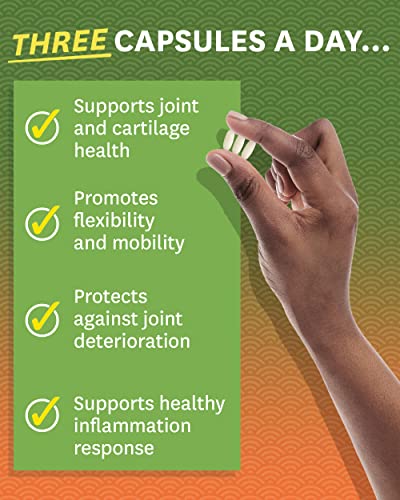 Zenwise Health Glucosamine Chondroitin MSM - Joint Support Supplement with Turmeric Zenwise HealthBuy Supplements Australia