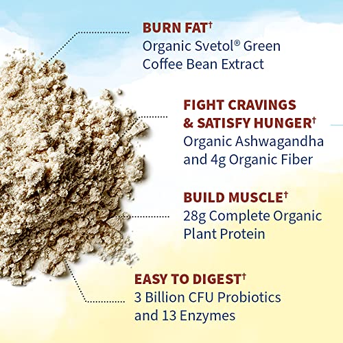 Garden of Life Raw Organic Fit Vegan Protein Powder Coffee, 28g Plant Based Protein Garden of LifeBuy Supplements Australia