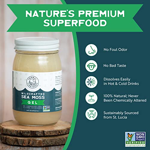 Herbal Vineyards Natural Organic Wildcrafted Gold Raw Sea Moss Gel for Immune Support Herbal VineyardsBuy Supplements Australia