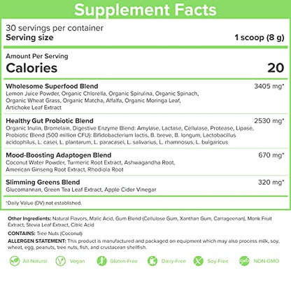 SkinnyFit Mango Splash Skinny Greens, Green Juice Superfood Powder, Natural Energy SkinnyFitBuy Supplements Australia