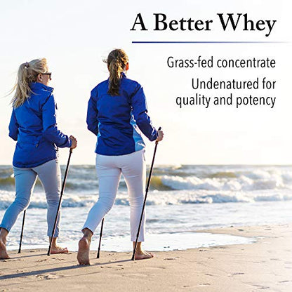 Whey Factors by Natural Factors, Grass Fed Whey Protein Concentrate, Aids Muscle Natural FactorsBuy Supplements Australia
