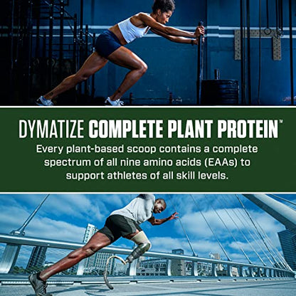 Dymatize Vegan Plant Protein, Smooth Vanilla, 25g Protein, 4.8g BCAAs, Complete DymatizeBuy Supplements Australia