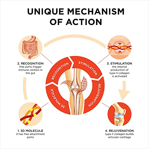 Collanol - Innovation in The Care of Healthy Joints - Liquid Formula in a Double Capsule 3D Collagen CollanolBuy Supplements Australia