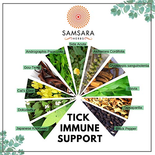 Samsara Herbs Tick Immune Support - The Original Herbal Formula (240 Capsules) Samsara HerbsBuy Supplements Australia