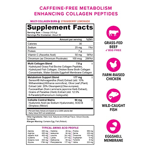 Multi Collagen Burn: Multi-Type Hydrolyzed Collagen Protein Peptides with Hyaluronic Acid VitauthorityBuy Supplements Australia