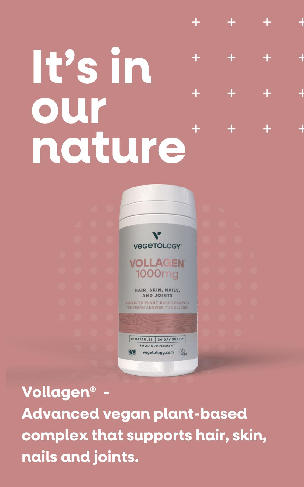 Vegetology Vollagen® Plant Based Complex – Plant Based Protein Alternative to Collagen VEGETOLOGYBuy Supplements Australia