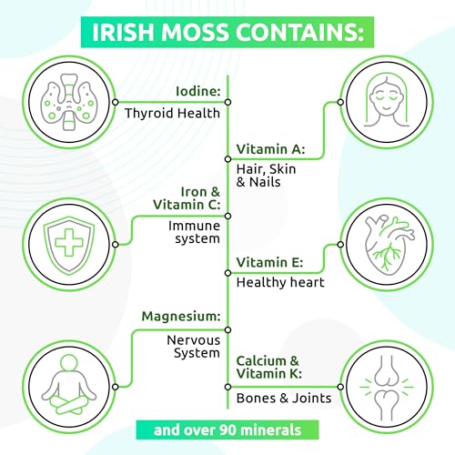 TrueSeaMoss Wildcrafted Irish Sea Moss Gel – Nutritious Raw Seamoss Rich in Minerals TrueSeaMossBuy Supplements Australia