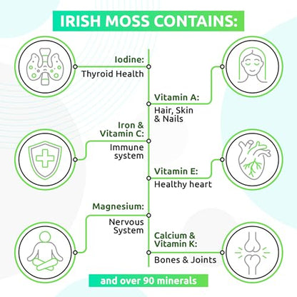 TrueSeaMoss Wildcrafted Irish Sea Moss Gel – Nutritious Raw Seamoss Rich in Minerals TrueSeaMossBuy Supplements Australia