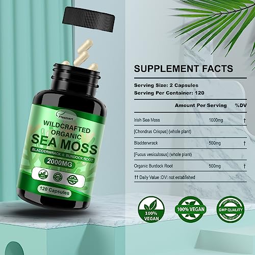 Fleamart 2 Pack Irish Sea Moss Capsules 120ct Raw Organic Sea Moss Wildcrafted Bladder FleamartBuy Supplements Australia