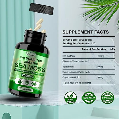 Fleamart 2 Pack Irish Sea Moss Capsules 120ct Raw Organic Sea Moss Wildcrafted Bladder FleamartBuy Supplements Australia