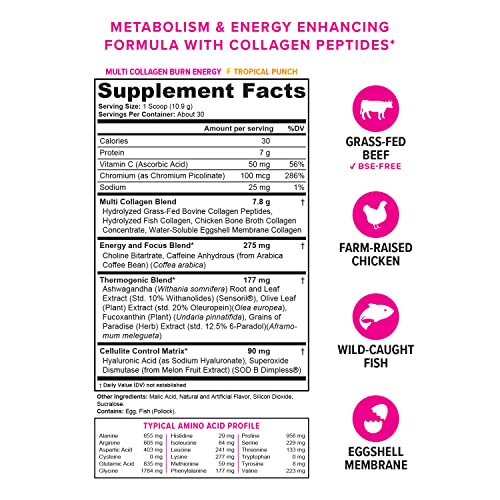 Multi Collagen Burn: Multi-Type Hydrolyzed Protein Peptides with Hyaluronic Acid, Vitamin VitauthorityBuy Supplements Australia