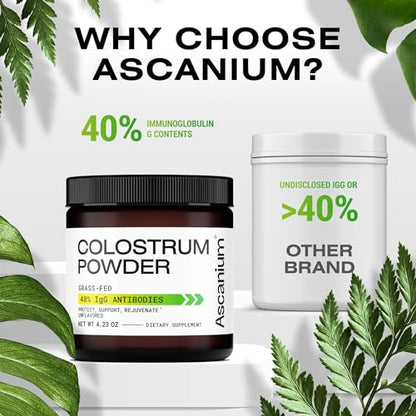 Colostrum Powder - Grass-Fed 40% IgG Colostrum Supplement Powder - Bovine AscaniumBuy Supplements Australia