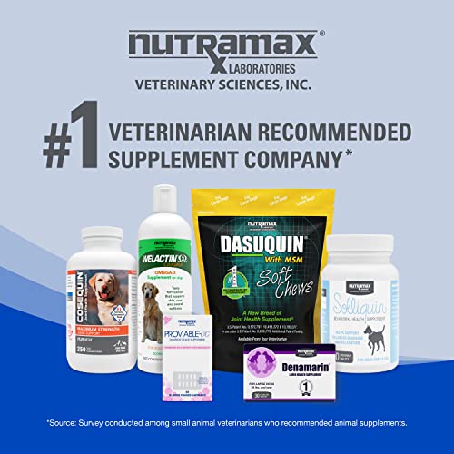 Nutramax Cobalequin B12 Supplement for Cats and Small Dogs, 45 Count (Pack of 1) Nutramax LaboratoriesBuy Supplements Australia