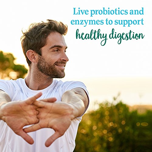 Garden of Life Perfect Food Super Green Formula - 14 Servings | 45 Superfoods, Greens Garden of LifeBuy Supplements Australia