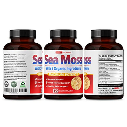 VITAL HERBAL Irish Sea Moss Capsules Equivalent to 5450mg - Maximum Potency VITAL HERBALBuy Supplements Australia