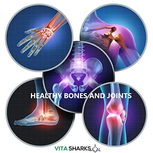 VitaBalance Collagen+ 60 Capsules for Skin, Hair, Nails, Joints & Connective Tissue Vita SharksBuy Supplements Australia