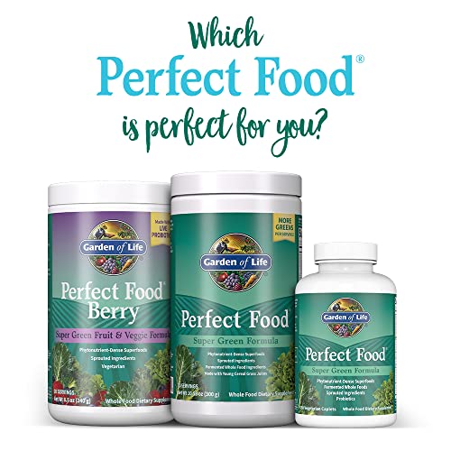 Garden of Life Perfect Food Super Green Formula - 14 Servings | 45 Superfoods, Greens Garden of LifeBuy Supplements Australia