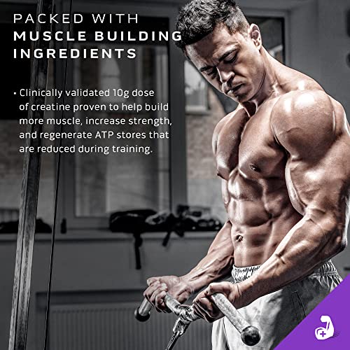 MuscleTech Mass Gainer Protein Powder, Mass-Tech Extreme 2000, Muscle Builder MuscleTechBuy Supplements Australia