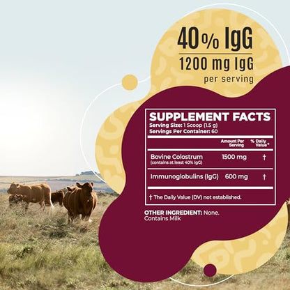 Bovine Colostrum Powder - 40% IgG Highly Concentrated Pure Bovine Colostrum InstaSkincareBuy Supplements Australia