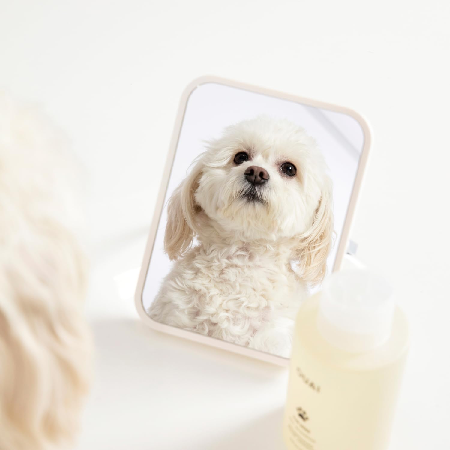OUAI Fur Bébé Pet Shampoo, Mercer Street Scent - Dog Shampoo and Coat Wash for Hydrating, Cleansing and Adding Shine - Pet Supplies by OUAI (16 Fl Oz) OUAIBuy Supplements Australia