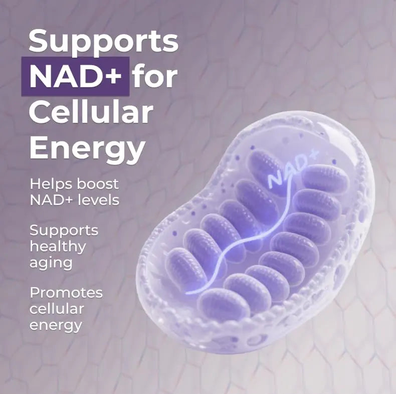 Neurogan Beta NMN (β-NMN) Supplement 500 mg per Serving, High Purity – NAD+ Precursor for Cellular Energy & Vitality – 120 Capsules (2-Month Supply) – Made in USA NeuroganBuy Supplements Australia