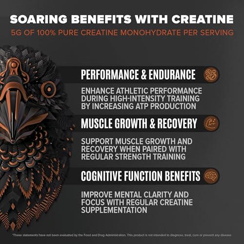 Birdman Falcon Performance Vegan Protein Powder, 31g Protein, 5g Creatine, 5g BCAA BIRDMANBuy Supplements Australia