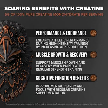 Birdman Falcon Performance Vegan Protein Powder, 31g Protein, 5g Creatine, 5g BCAA BIRDMANBuy Supplements Australia