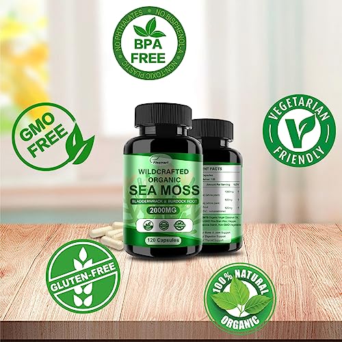 Fleamart 2 Pack Irish Sea Moss Capsules 120ct Raw Organic Sea Moss Wildcrafted Bladder FleamartBuy Supplements Australia