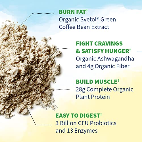 Garden of Life Raw Organic Fit Vegan Protein Powder Original, 28g Plant Based Protein Garden of LifeBuy Supplements Australia