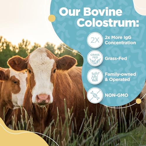 Bovine Colostrum Powder - 40% IgG Highly Concentrated Pure Bovine Colostrum InstaSkincareBuy Supplements Australia