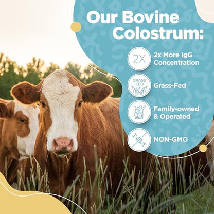Bovine Colostrum Powder - 40% IgG Highly Concentrated Pure Bovine Colostrum InstaSkincareBuy Supplements Australia