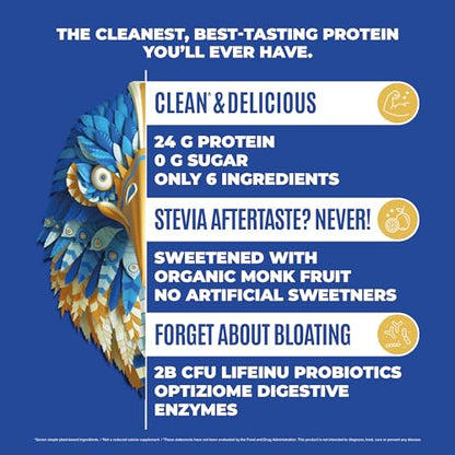 BIRDMAN Falcon Organic Vegan Protein Powder Vanilla, 24g Protein, Sugar Free, Probiotics BIRDMANBuy Supplements Australia