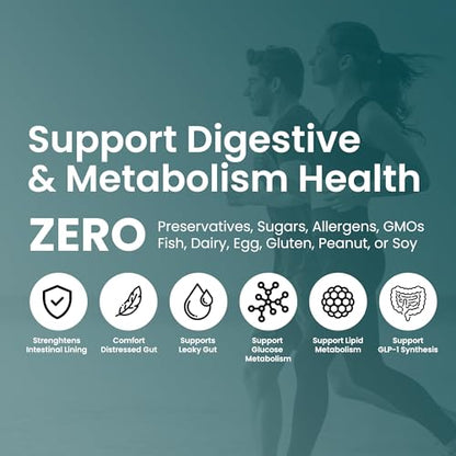 UpNourish Probiotics - 200 Billion CFUs, 15 Strains, Prebiotics & Enzymes - 60 Vegan Cap UpNourishBuy Supplements Australia