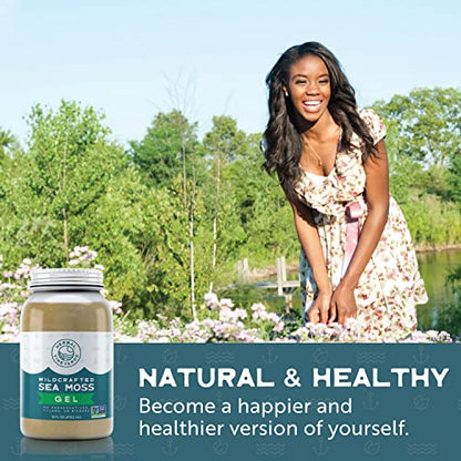 Herbal Vineyards Natural Organic Wildcrafted Gold Raw Sea Moss Gel for Immune Support Herbal VineyardsBuy Supplements Australia