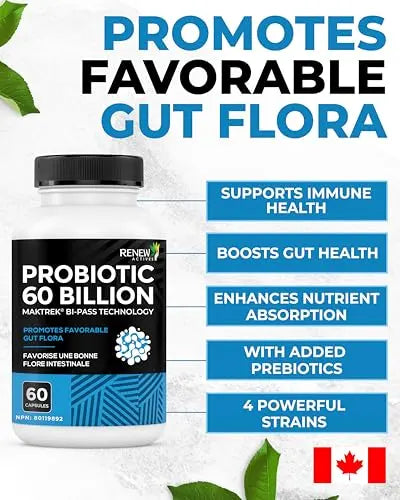Renew Actives Probiotic Supplement for Digestive Health 60 Billion CFU per 2 Capsules - Advanced Formula with Prebiotic Benefits - Supports Gut Flora Balance & Wellness - Made in Canada - 60 Capsules Renew ActivesBuy Supplements Australia