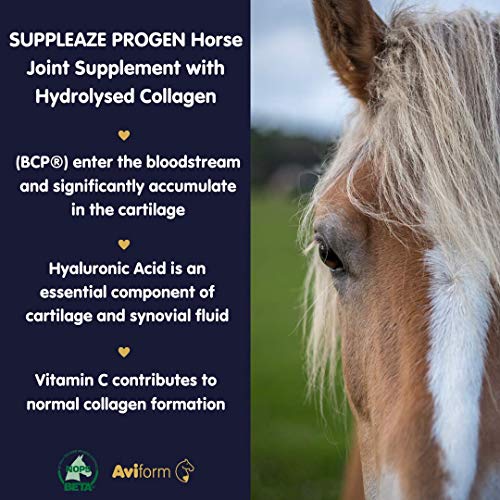 Aviform SUPPLEAZE PROGEN Horse Joint Supplement with Hydrolysed Collagen 1kg AviformBuy Supplements Australia