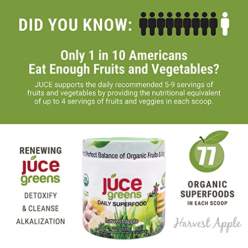 Terra Kai Organics JUCE Green Superfood Powder, Organic Fruits and Veggies Supplement Terra Kai OrganicsBuy Supplements Australia
