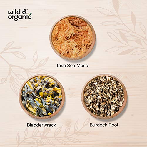 Sea Moss Capsules - 180 Caps Wildcrafted Irish Moss, Burdock Root & Bladderwrack Wild & OrganicBuy Supplements Australia